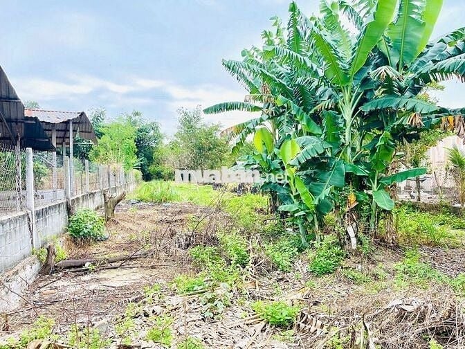 BÁN HƠN 400M2 ĐẤT - GẦN BỆNH VIỆN CUYÊN Á - CỦ CHI -GIÁ RẺ BÁN GẤP-SHR