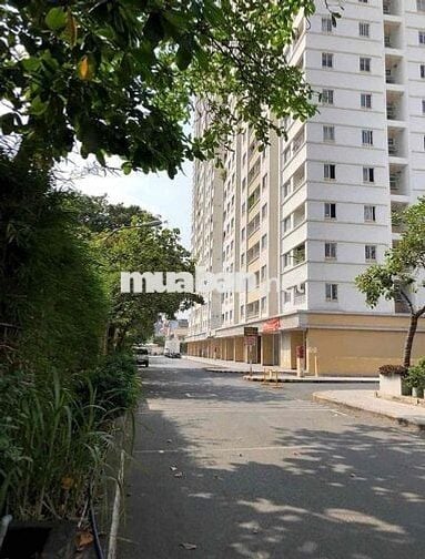 Bán CC Lotus Garden – 67m², 2PN, 2WC sổ hồng riêng, giá chỉ 3.2 tỷ