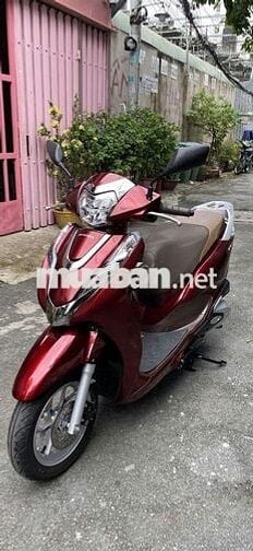 Can ban leed 2023 bstp