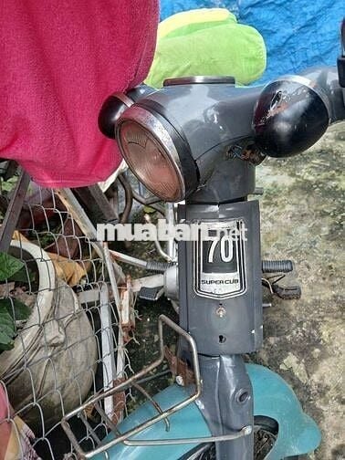 Can ban xe cup 50cc bstp