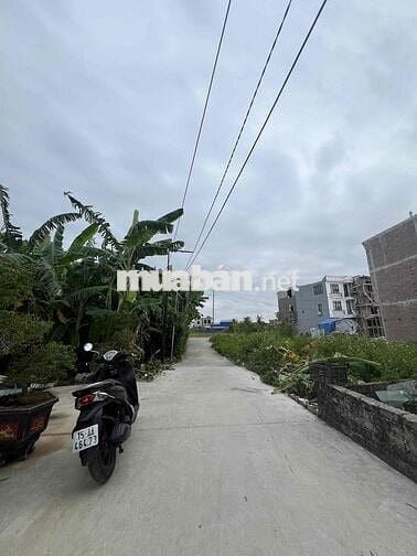Chính chủ gửi bán lô đất phố Vọng Hải - Hưng Đạo- Hải Phòng