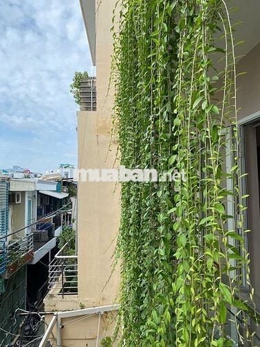 Biệt thự mini trung tâm Q7 gần Q4, Q1