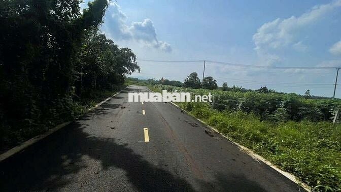 Bán Đất 3 lô liền kề Xây nhà trọ ngay cổng sau khu công nghiệp Đất đỏ