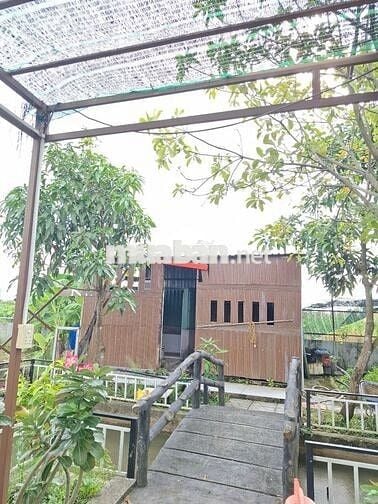 Nhà vườn Bình Mỹ - Củ Chi : 500m2 - SHR - 2 mặt tiền . Giá 2 tỷ