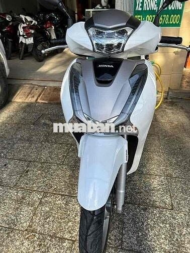 sh 2019 hàng bỏ mẫu đúng 2019
