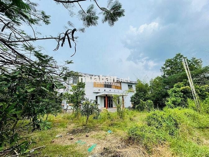 Thuê xưởng tặng máy móc sản xuất với chi phí thấp