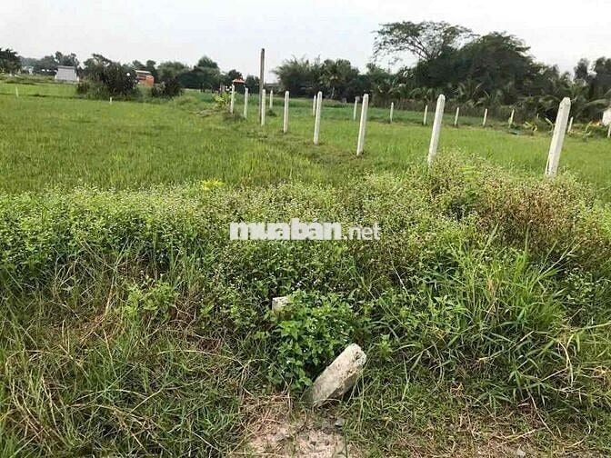 Đất thổ 165m2 Hậu Nghĩa Đức Hoà Long An
