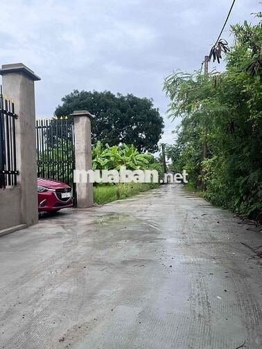 Nhà vườn xã Bình Chánh, TPHCM 550m 2,5tỷ
