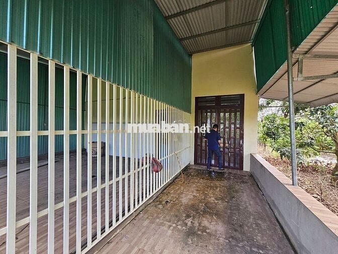 Nhà sẵn vườn Xoài 2,2 sào - sổ vuông vức - đường ô tô tránh nhau.