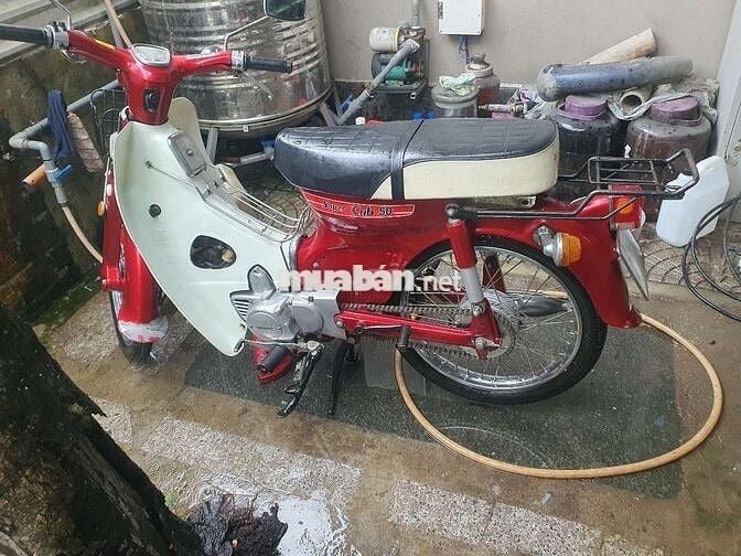 Cup én có đề 50cc