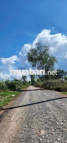 3476m2 Đất Vườn sẵn Mặt Tiền Kênh Ba