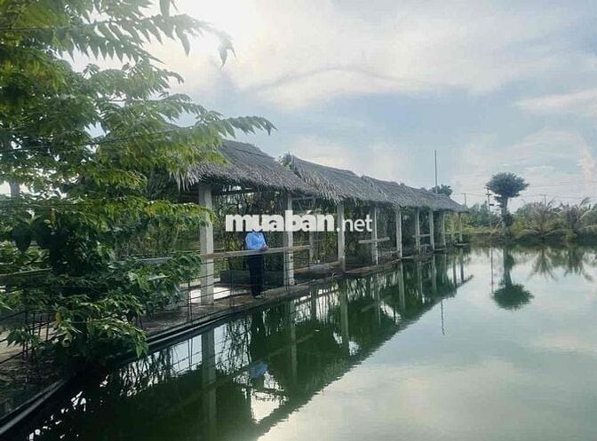 Cần bán gấp lô Đất Cần Giờ- An Thới Đông