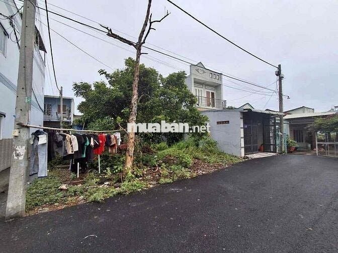 Đất 5-16 full thổ cư Trung Đông 7