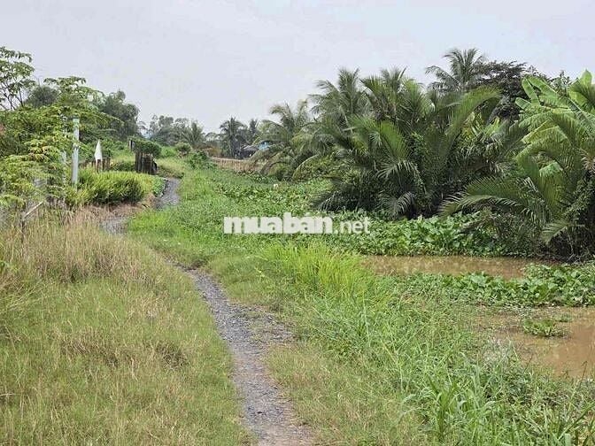 bán đất nền huyện gò công đông