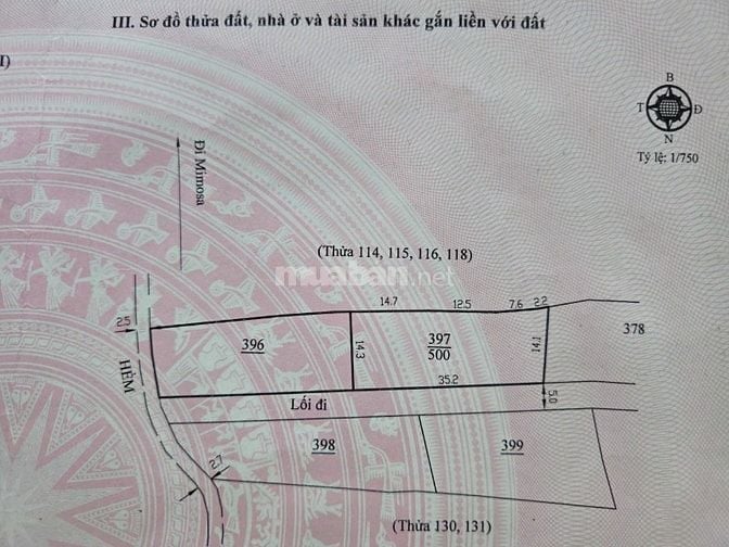 Nhà vườn 30m2 trên đất 500m2 Mimosa 