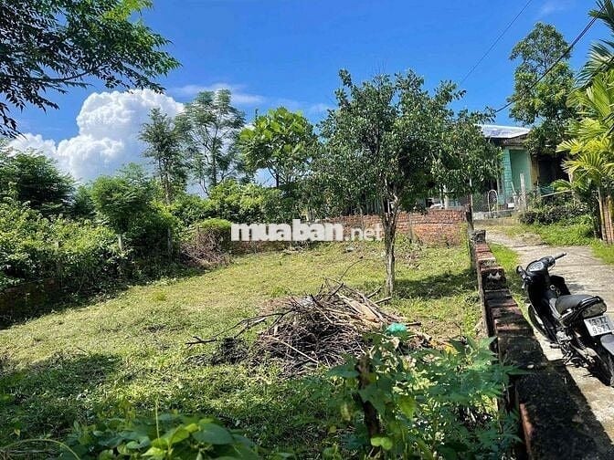 🏡 CHÍNH CHỦ CẦN BÁN NHANH LÔ ĐẤT 2 MẶT KIỆT – THÔN GÒ HÀ, HÒA TIẾN – Đ