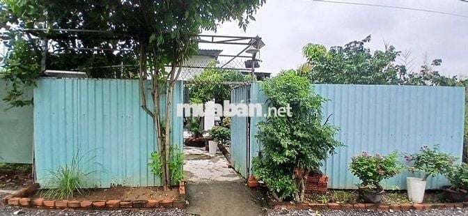 Ngộp Ngân Hàng – Cần bán Gấp Nhà X.Đa Phước H. Bình Chánh 136 m Vuông
