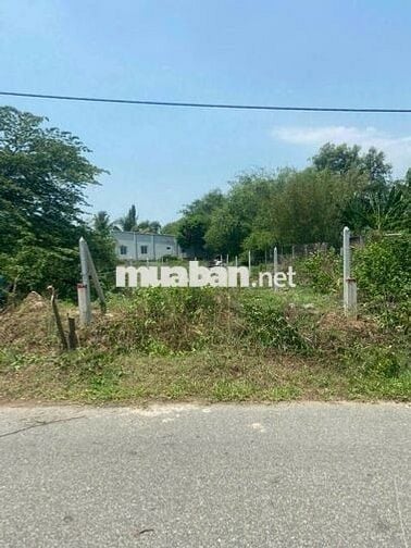 Bán nhanh lô đất Đ.Lê Minh Nhựt, Tân An Hội, DT 110m2 giá 700tr, SHR