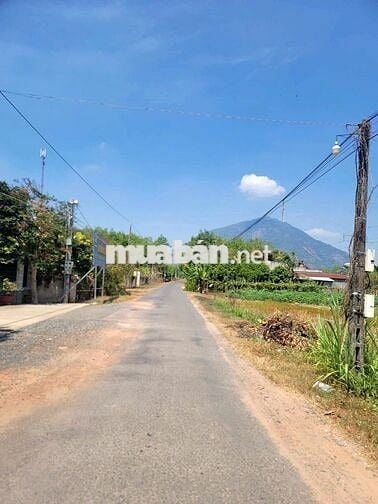 4435m2 đường nhựa, view Núi. Dân đông. 2,8 tỷ