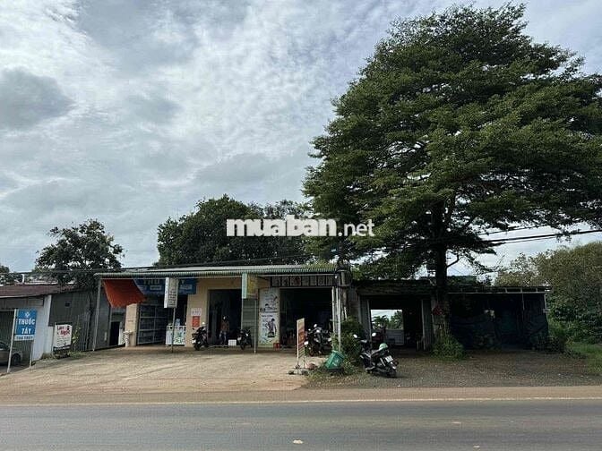 CHÍNH CHỦ BÁN ĐẤT MẶT TIỀN QL 14 CÓ NHÀ & VƯỜN CÀ PHÊ TẠI THÔN 5, NHÂN