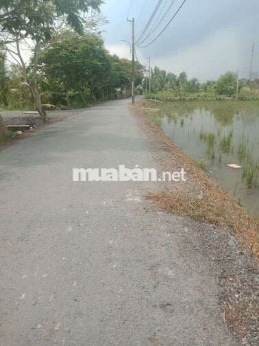 Đất vườn mặt tiền đường nhựa ba chả xã Hưng Long