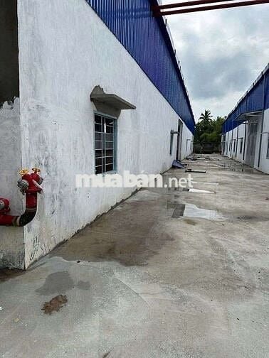 Xưởng Tân Hạnh, đất 1500m, xưởng 1000m, giá 40tr, điện 160kva