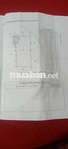 Cần bán đất ruộng 3500m2 Tân Nhựt Bình Chánh Khu Kiến Vàng