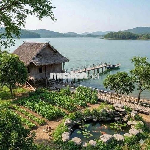 ĐẤT VƯỜN VIEW NGHỈ DƯỠNG 10531m2 200 thổ, tặng nhà C4, chỉ 225tr/sào