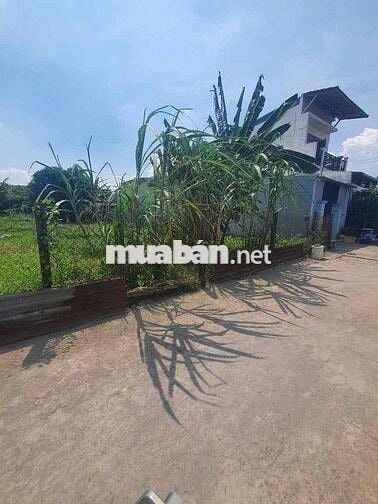 BÁN LÔ ĐẤT BÌNH NHÂM 5m x30m - THUẬN AN Bình Dương