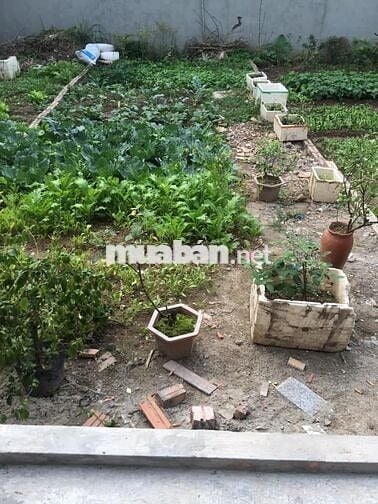 HÀNG MỀM, 30M2 ĐẤT PHÚC LỢI, LONG BIÊN, GIÁ CỰC TỐT