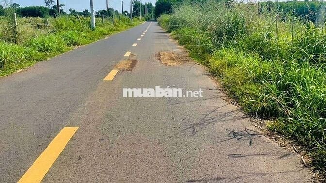 👉 Bán lô đất 531 m mặt tiền đường nhựa Thị Trấn Đất Đỏ , Long Đất
