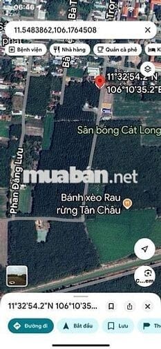 Đất 200x155m đường Phan bội Châu