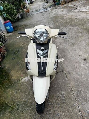 Gander cccd chủ