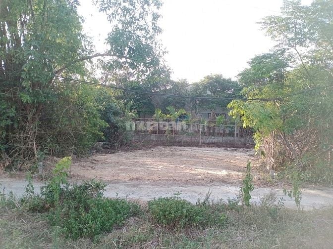 SỤP HẦM LÔ ĐẤT 100M2_NGANG 6M5_KIỆT OTO NGŨ HÀNH SƠN, HOÀ QUÝ CHỈ 2ti1