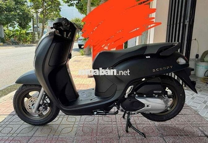 Scoopy 2025