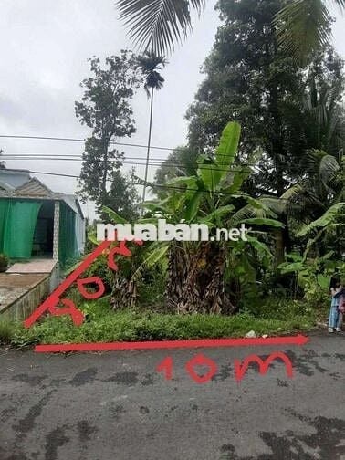 Bán đất vườn tâm huyết do cần tiền gấp