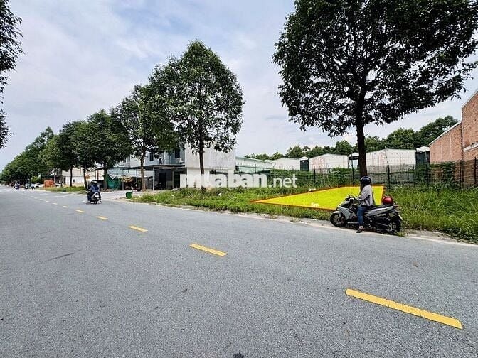 Bán gấp lô đất 5x30m full thổ ngay KCN Bàu Bàng – gần Chợ đêm, TTHC