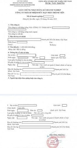 Nhận Dịch vụ: Thành Lập - Báo Cáo Thuế - Giải Thể