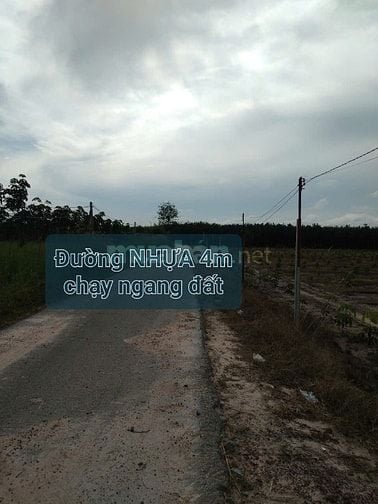 GĐ bán đất CAO SU 4.3ha (2tỷ4/ha TL) gần KCN Chà Là, rào B40 bao quanh