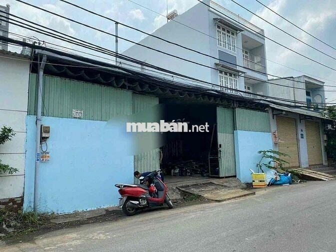 Xưởng 12m x 12m , Hương Lộ 2 , Hẻm nhựa 10m