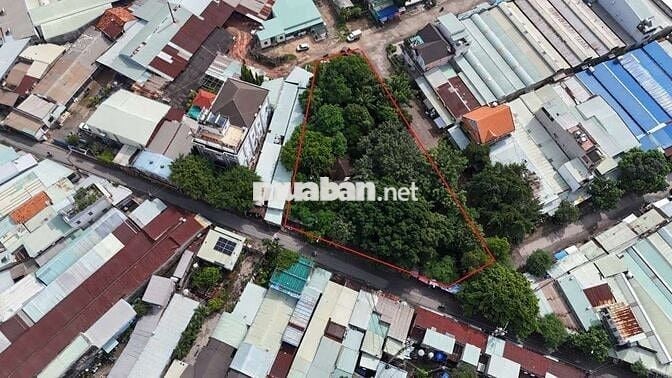 Bán đất KDC Thuận Giao 1535m² ( 2 mặt tiền )