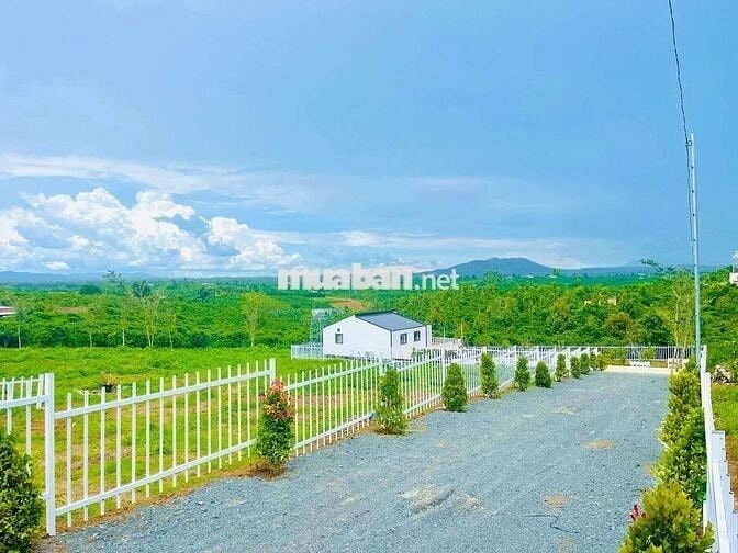 BÁN LÔ ĐẤT VƯỜN  NGHỈ DƯỠNG full thổ cư xây dựng tự do