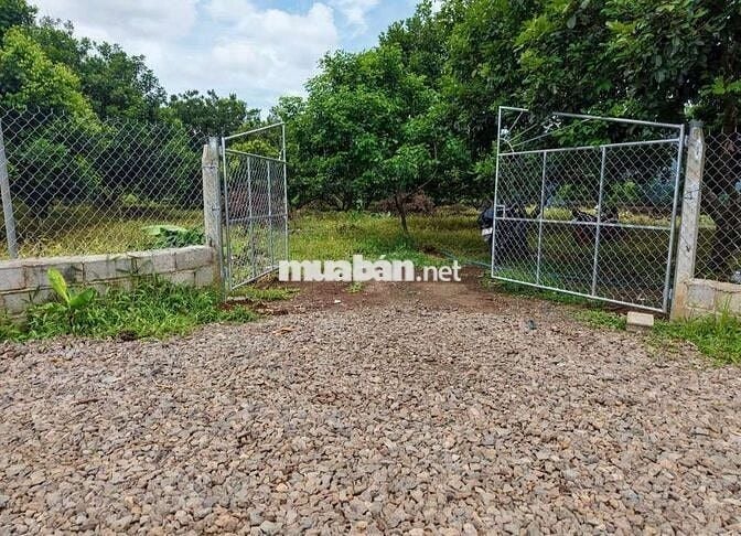 Bỏ phố về quê – không ngờ lại lời tới vậy!