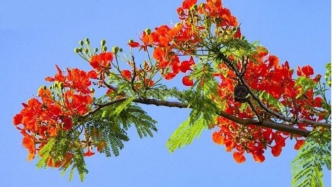 NHẬN CHẠY XE CHO CÁC CHỊ EM ĐI DU LỊCH HAY CÔNG TÁC XA Ở LAI