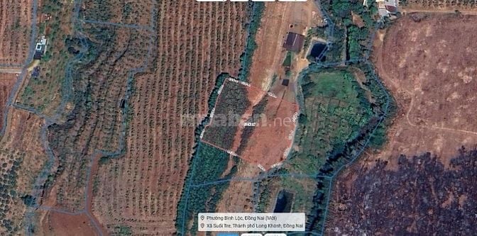 BÁN ĐẤT TRỒNG CÂY LÂU NĂM 5400M², P. SUỐI TRE, LONG KHÁNH, ĐỒNG NAI