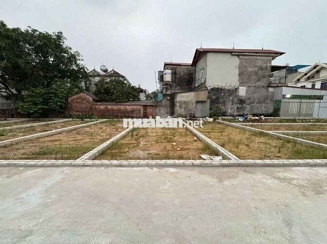 Bán đất thôn Ấp Tre, (Tổ 9 cũ), xã Quang Minh, TP HN. Thửa đất vuông