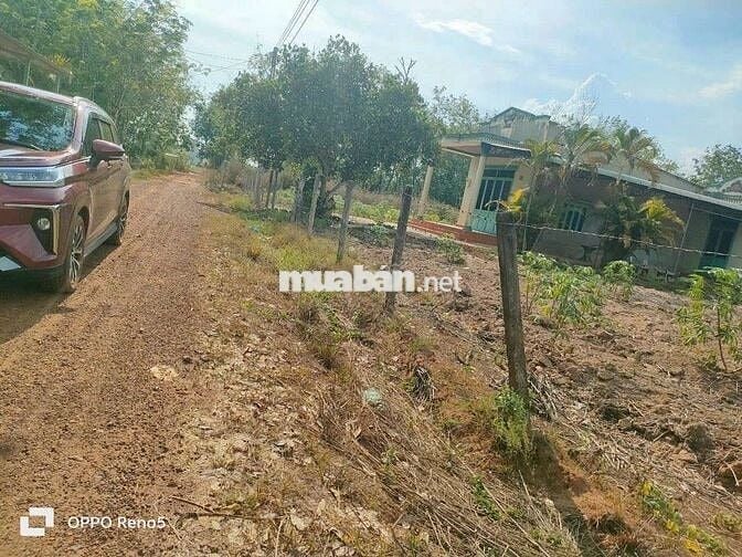 Đất sào giá ngộp dầu tiếng - HCM