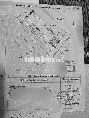 Bán đất 5x24 hẻm 6m tặng nhà hơn 164m2 sàn sẵn thu 12tr/tháng