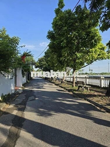 Đất Gia Lâm, 42m2, mặt tiền 4.2m, ô tô cách 15m. Sổ đỏ đầy đủ.