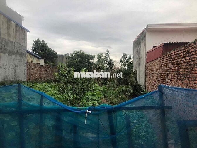 Đất 100m2 ngang 5m Chung cư Vĩnh Khê, An Đồng giá 2,88 tỷ